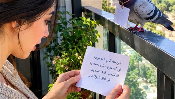 لمحة نيوز